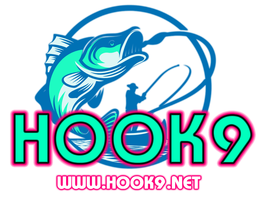 hook9